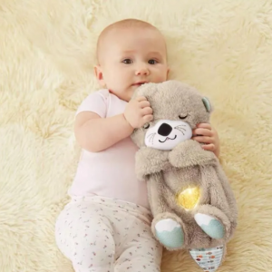 մոխրագույն արջուկ