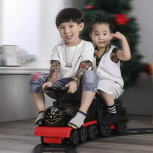 Մեծ գնացք ռելսերով