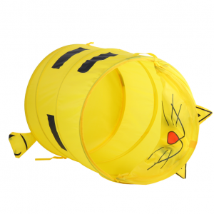 Խաղալիքի պարկ