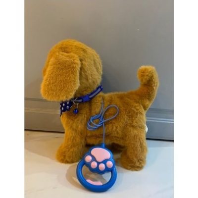 Շագանակագույն փափուկ շնիկ՝ երաժշտությամբ և շարժումով