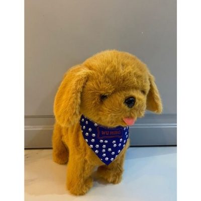 Շագանակագույն փափուկ շնիկ՝ երաժշտությամբ և շարժումով