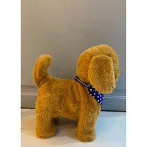 Շագանակագույն փափուկ շնիկ՝ երաժշտությամբ և շարժումով