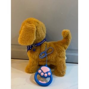 Շագանակագույն փափուկ շնիկ՝ երաժշտությամբ և շարժումով