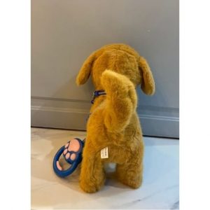 Շագանակագույն փափուկ շնիկ՝ երաժշտությամբ և շարժումով