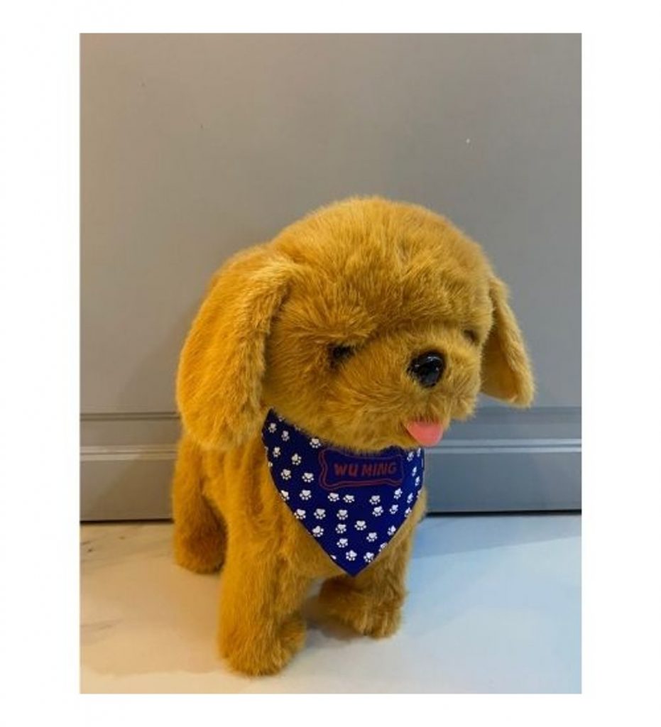 Շագանակագույն փափուկ շնիկ՝ երաժշտությամբ և շարժումով