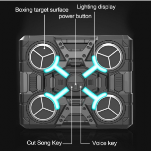 Երաժշտական բռնցկամարտ