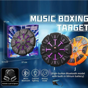 Երաժշտական բռնցկամարտ