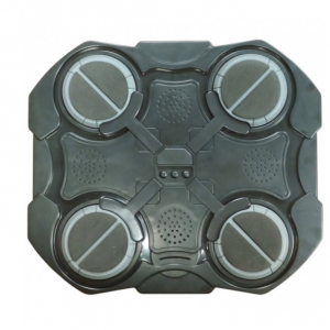 Երաժշտական բռնցկամարտ