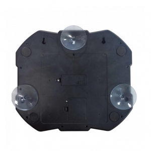 Երաժշտական բռնցկամարտ