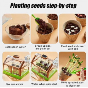 Մանկական ջերմոց լույսով