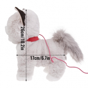 Ինտերակտիվ փիսիկ լեզու հանող