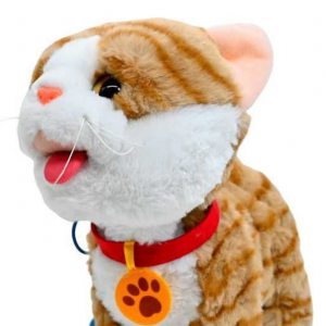 Ինտերակտիվ փիսիկ լեզու հանող