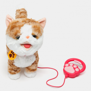 Ինտերակտիվ փիսիկ լեզու հանող