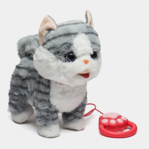 Ինտերակտիվ փիսիկ լեզու հանող