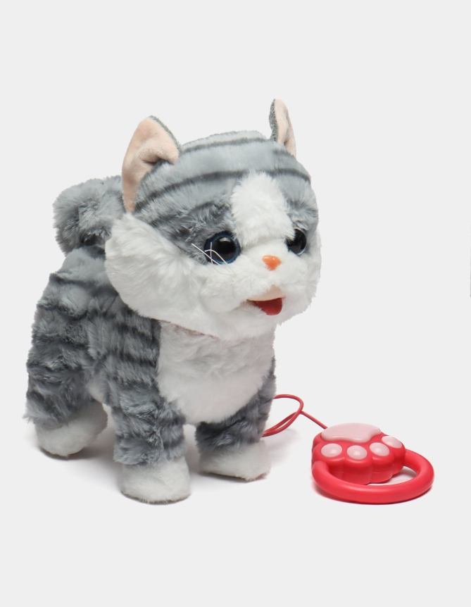 Ինտերակտիվ փիսիկ լեզու հանող