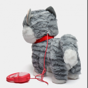 Ինտերակտիվ փիսիկ լեզու հանող