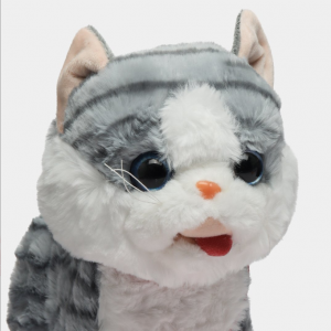 Ինտերակտիվ փիսիկ լեզու հանող