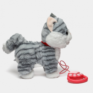 Ինտերակտիվ փիսիկ լեզու հանող