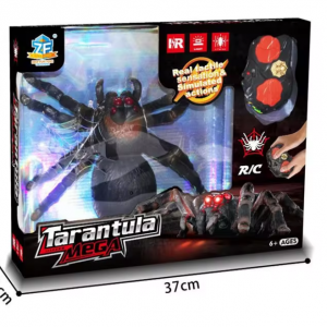 Խաղալիք սարդ վահանակով