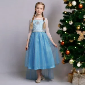 Էլզա հանդերձանք  Frozen