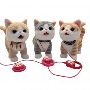 Վզկապով ինտերակտիվ փիսիկ